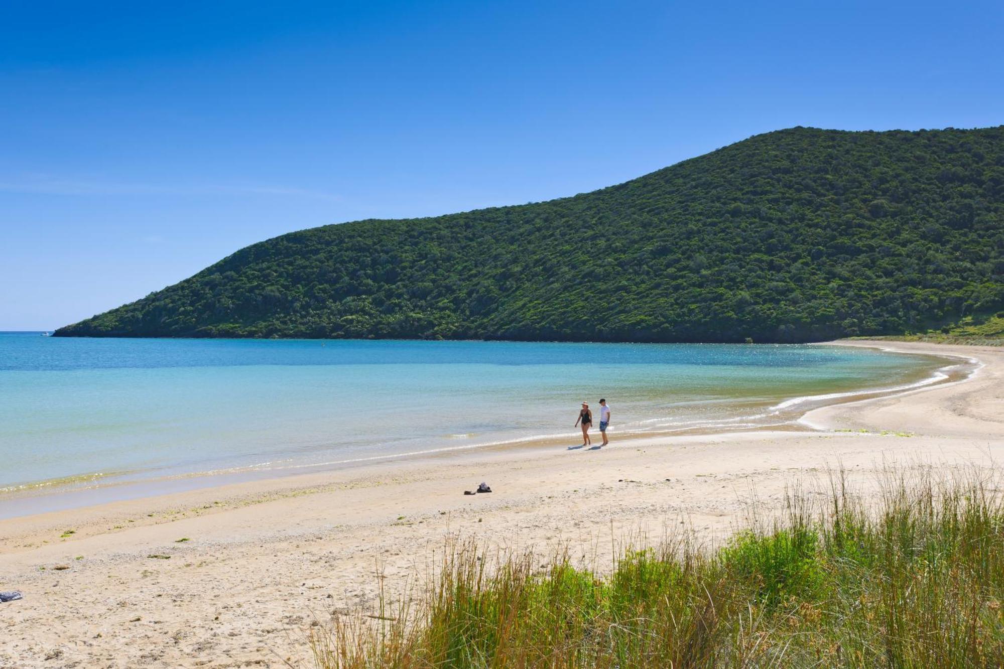 Вілла Arajilla Retreat Lord Howe Island Екстер'єр фото