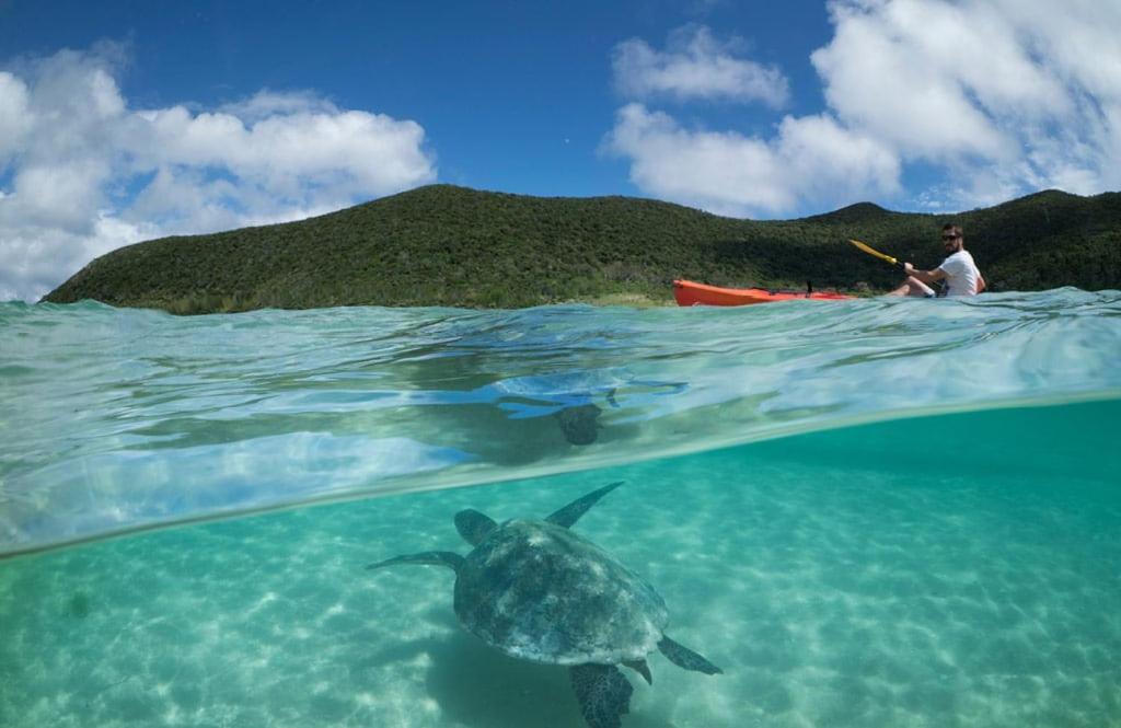 Вілла Arajilla Retreat Lord Howe Island Екстер'єр фото