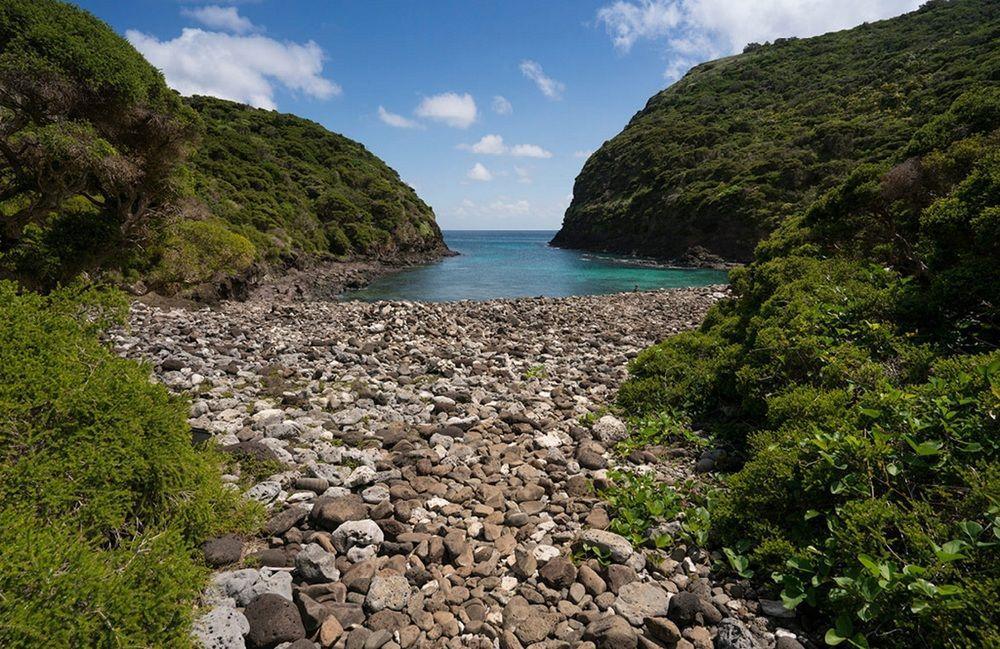 Вілла Arajilla Retreat Lord Howe Island Екстер'єр фото