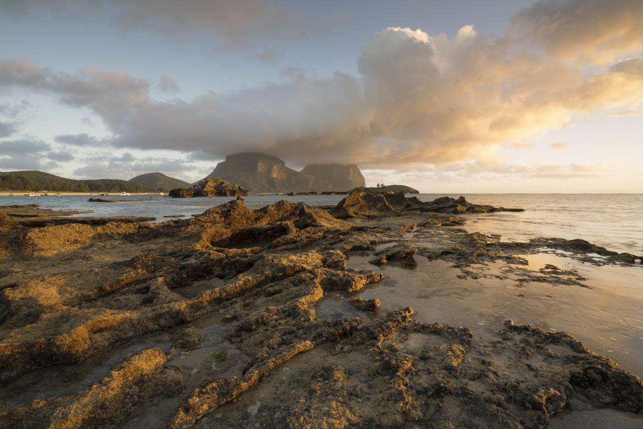 Вілла Arajilla Retreat Lord Howe Island Екстер'єр фото