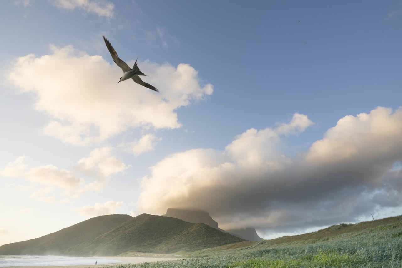 Вілла Arajilla Retreat Lord Howe Island Екстер'єр фото